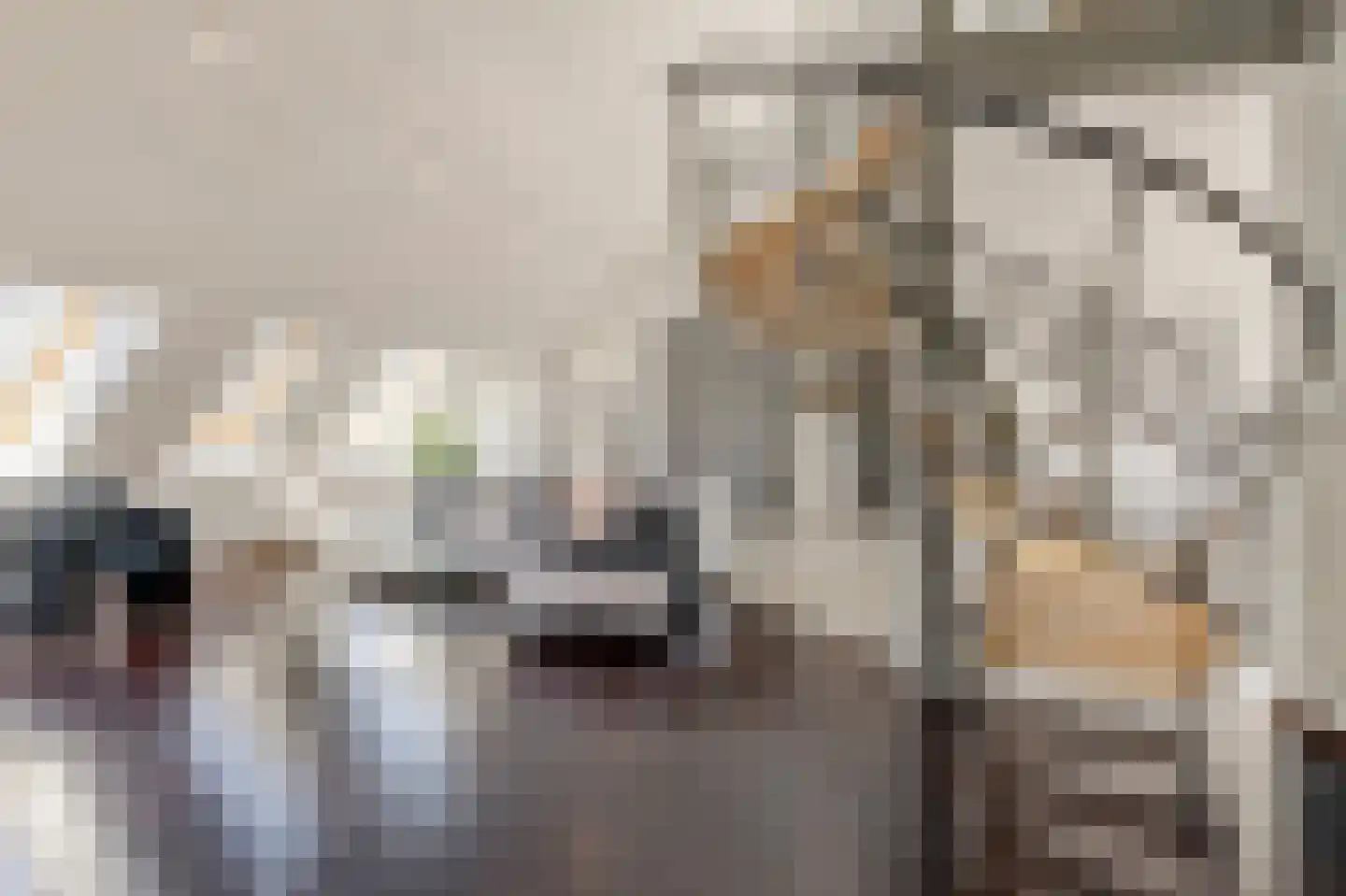 Klein Belgie 6 Vijfhuizen thumbnail 10