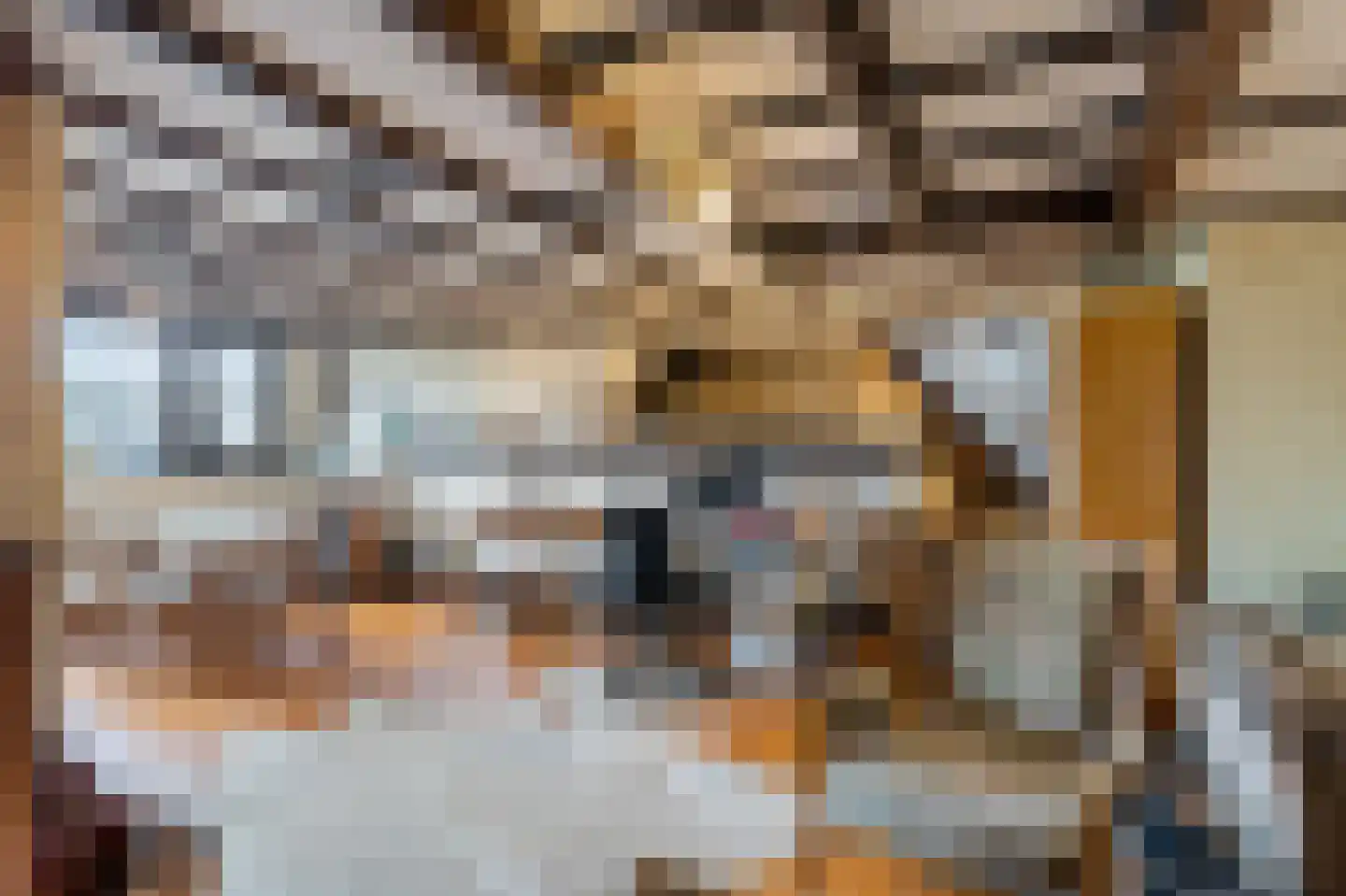 Klein Belgie 6 Vijfhuizen thumbnail 13