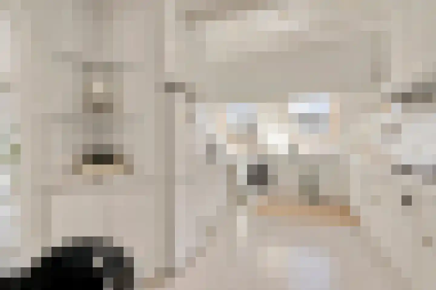 Klein Belgie 6 Vijfhuizen thumbnail 14