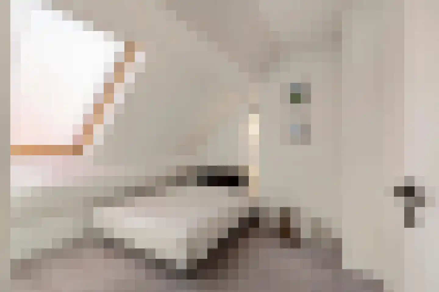 Klein Belgie 6 Vijfhuizen thumbnail 17