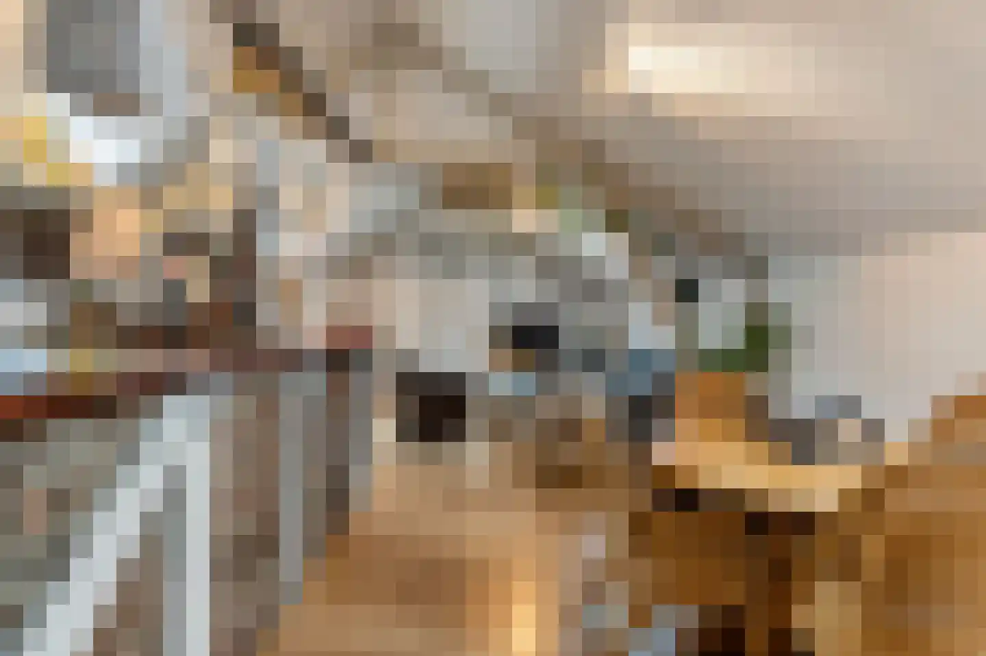 Klein Belgie 6 Vijfhuizen thumbnail 20