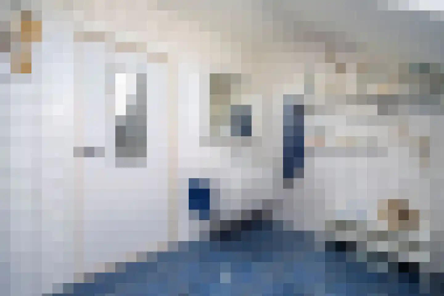 Klein Belgie 6 Vijfhuizen thumbnail 21