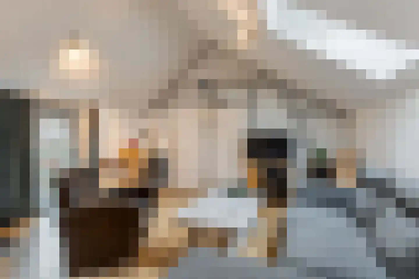 Klein Belgie 6 Vijfhuizen thumbnail 21