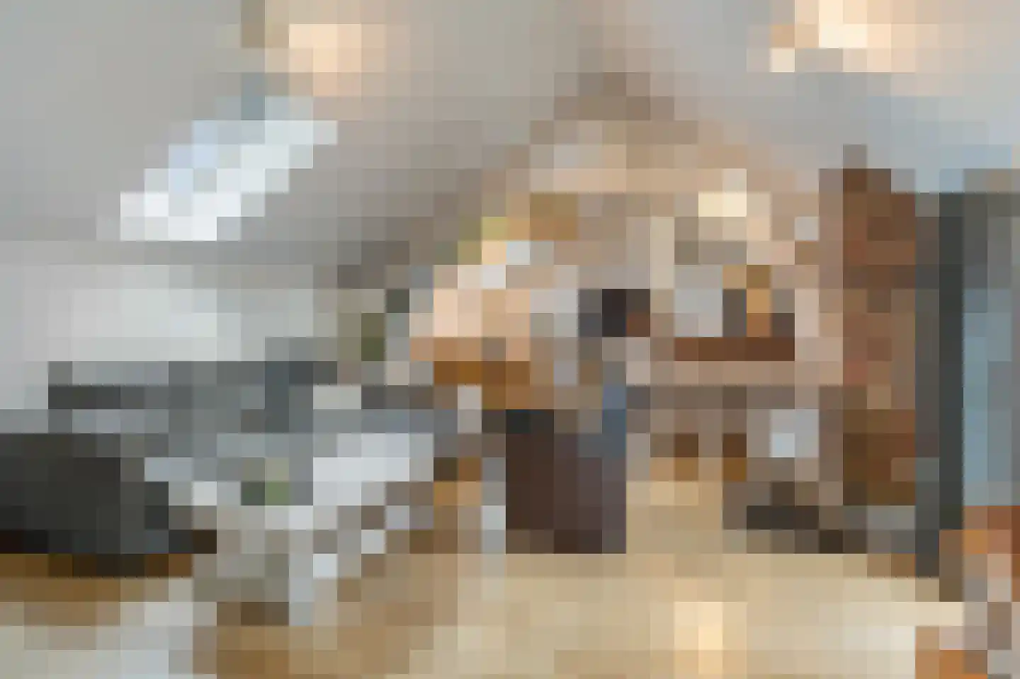 Klein Belgie 6 Vijfhuizen thumbnail 22