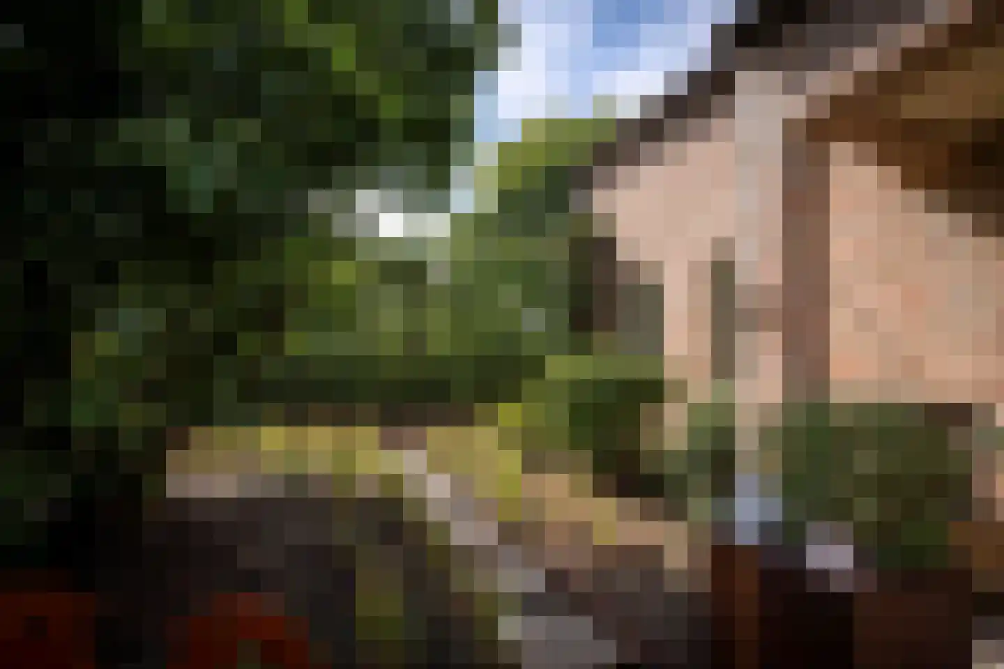 Klein Belgie 6 Vijfhuizen thumbnail 23