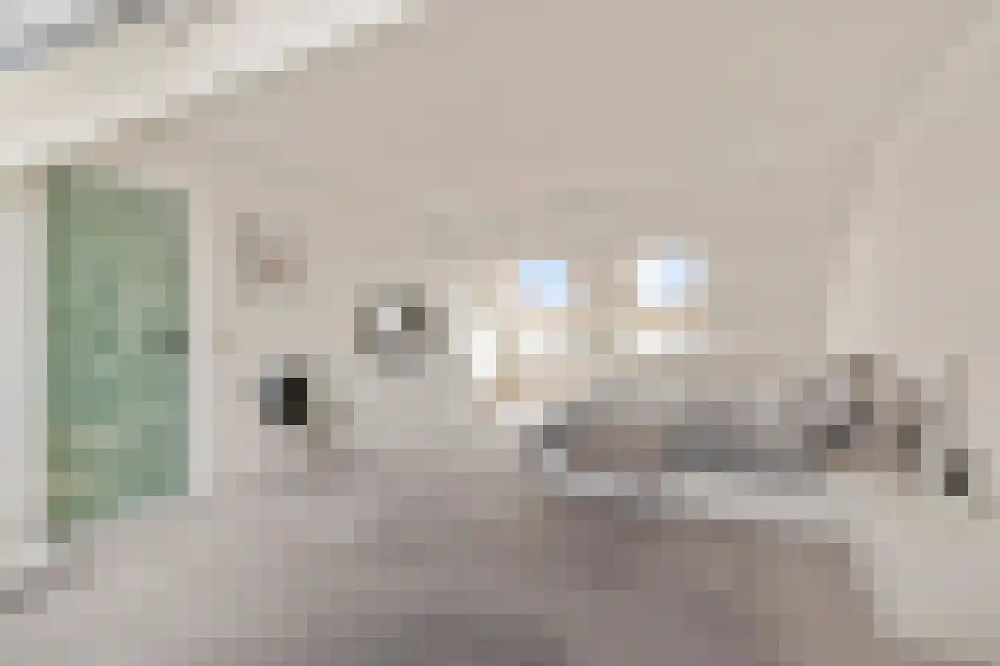 Klein Belgie 6 Vijfhuizen thumbnail 24