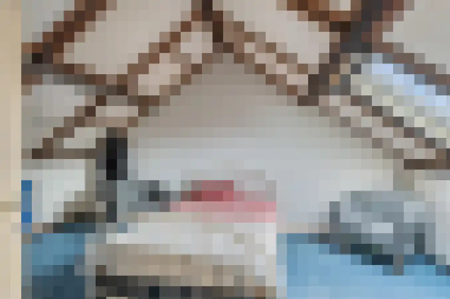 Klein Belgie 6 Vijfhuizen thumbnail 28