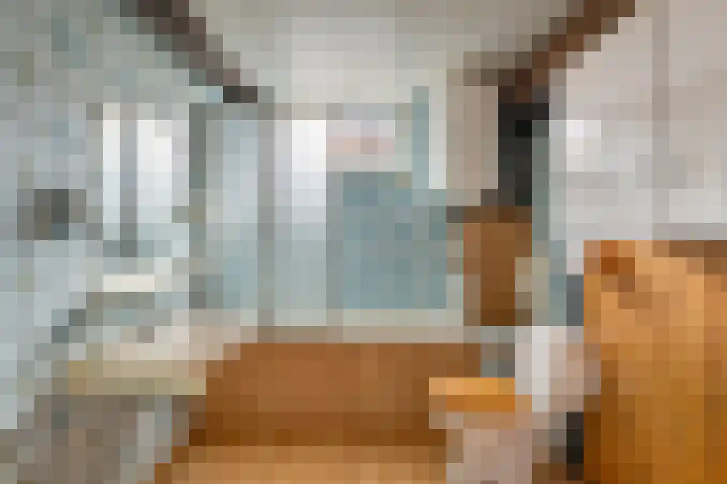 Klein Belgie 6 Vijfhuizen thumbnail 33
