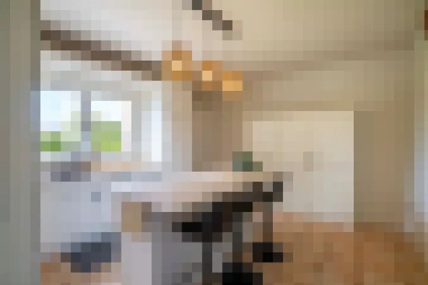 Klein Belgie 6 Vijfhuizen thumbnail 4