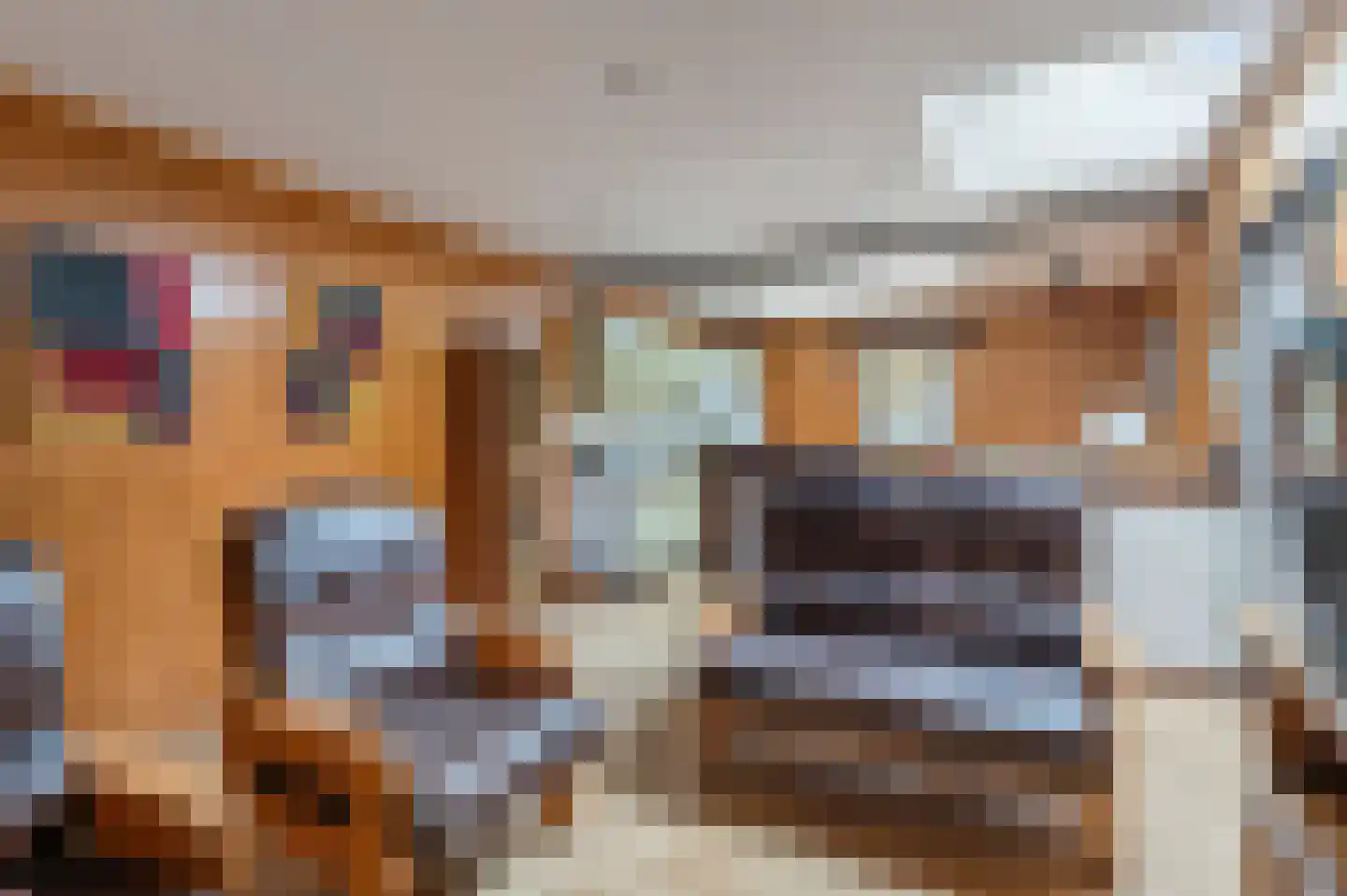 Klein Belgie 6 Vijfhuizen thumbnail 44