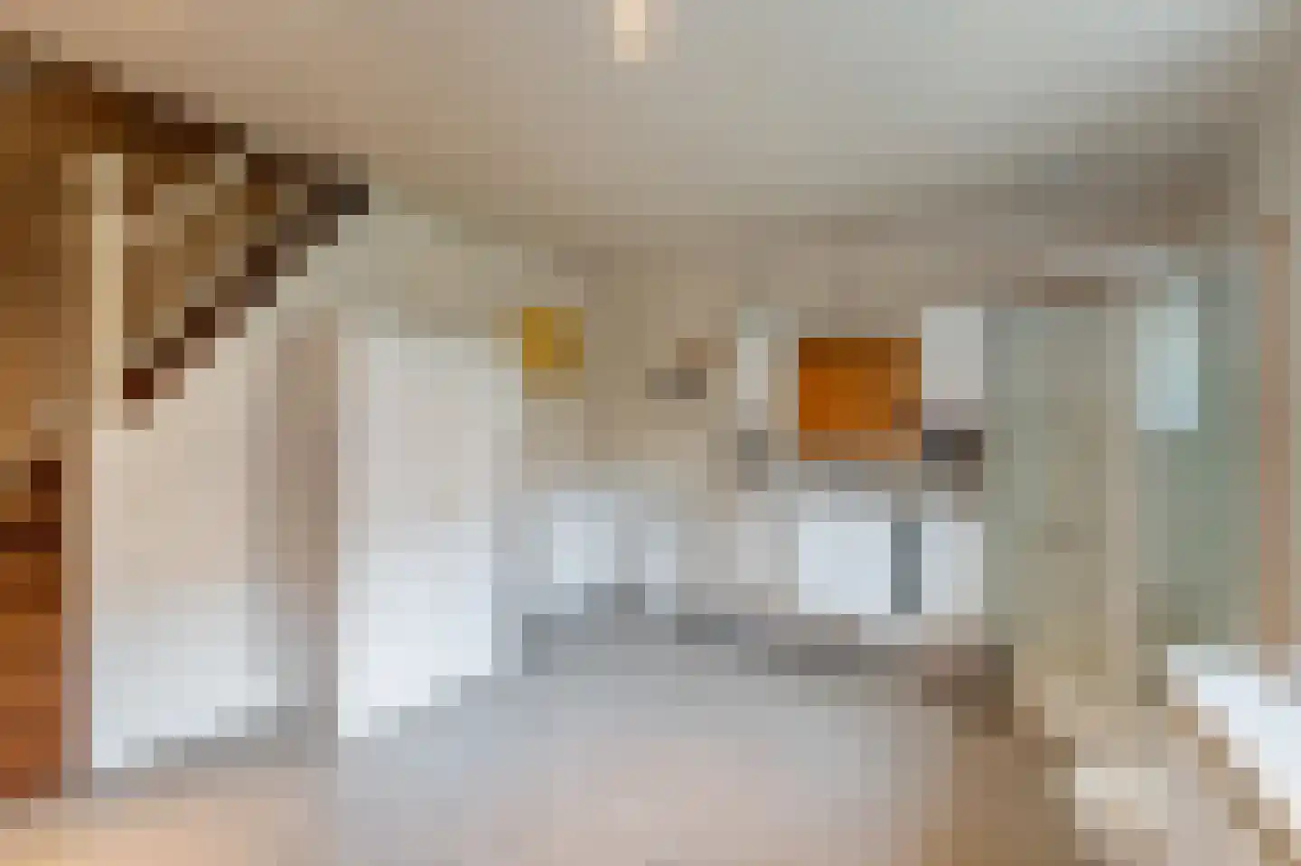 Klein Belgie 6 Vijfhuizen thumbnail 48
