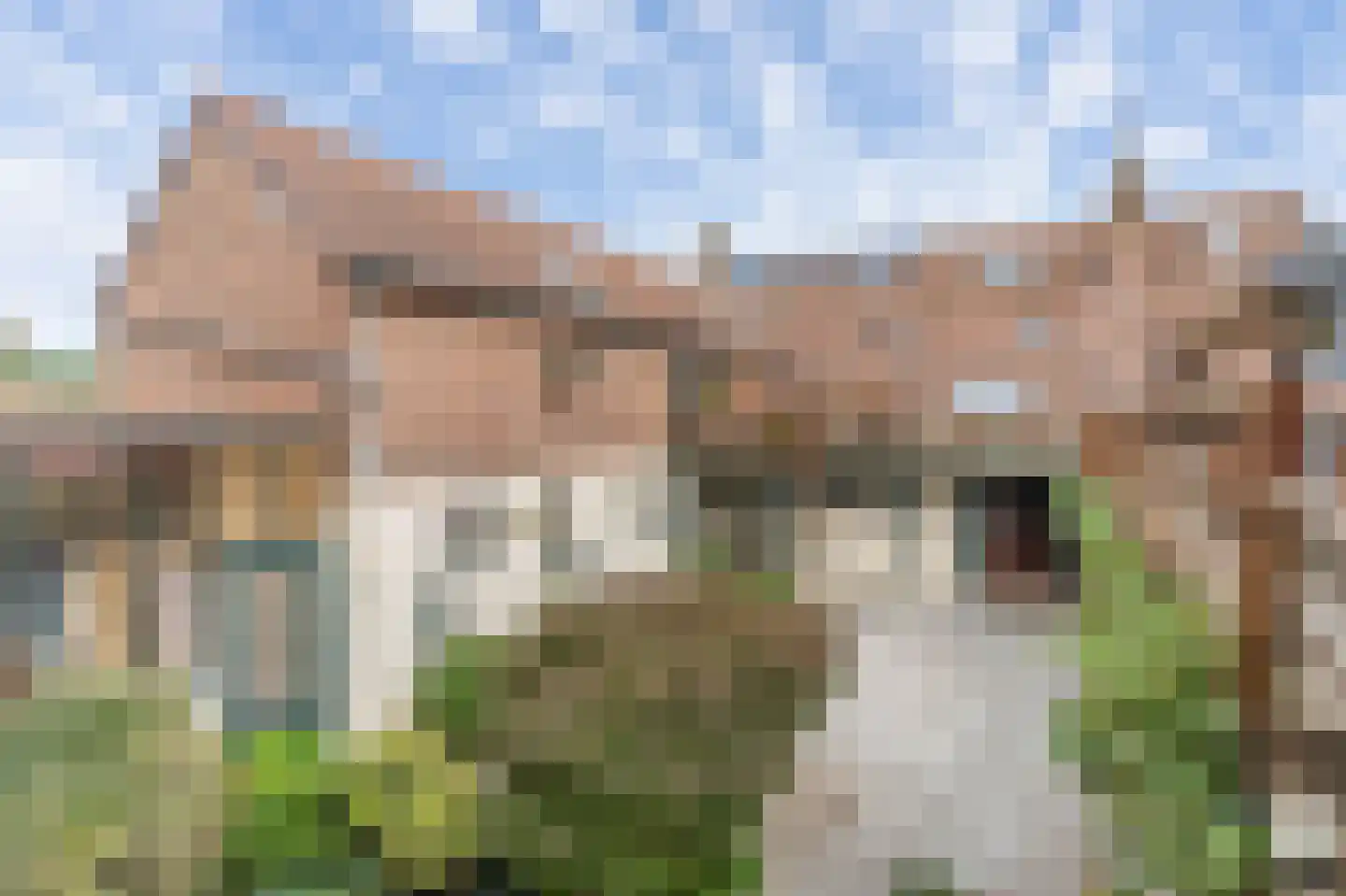 Klein Belgie 6 Vijfhuizen thumbnail 65