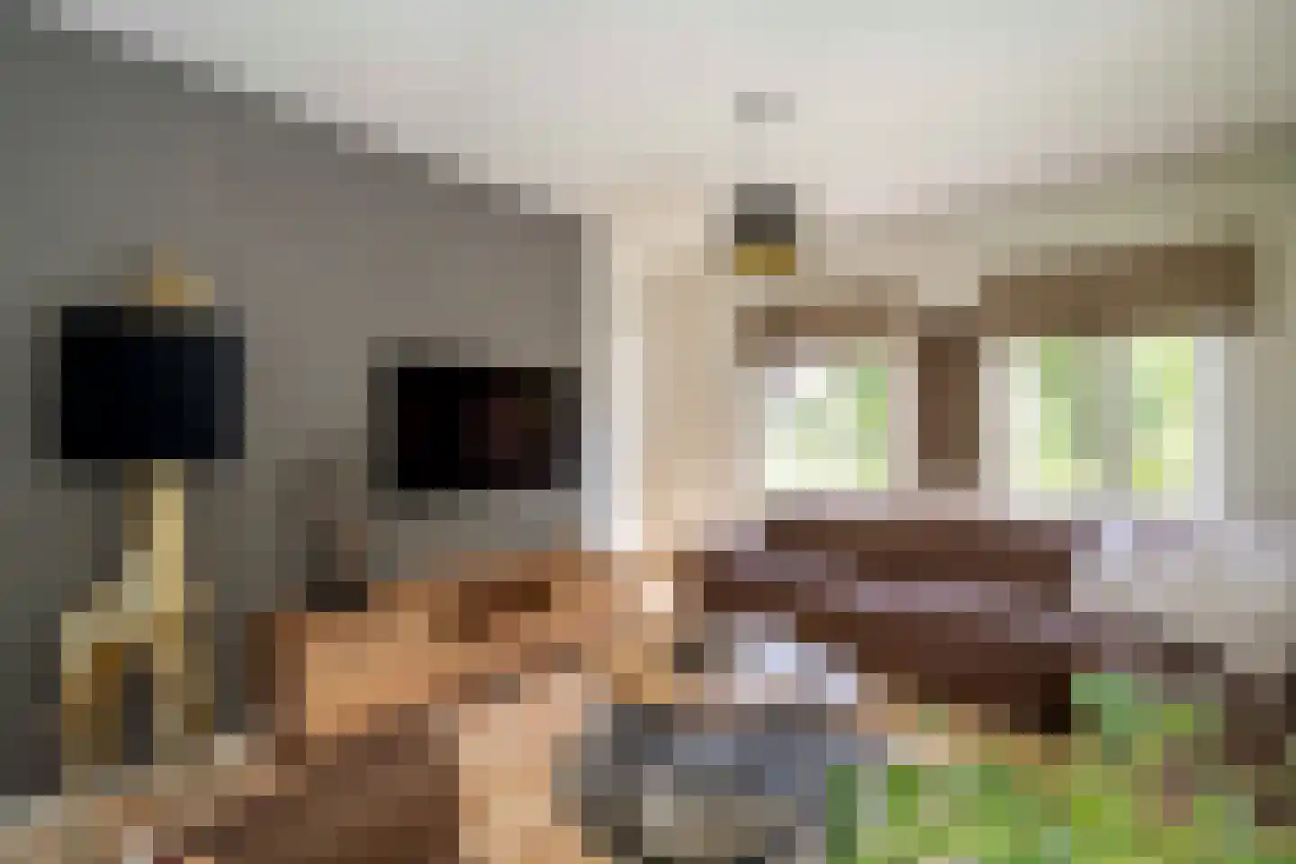 Klein Belgie 6 Vijfhuizen thumbnail 7