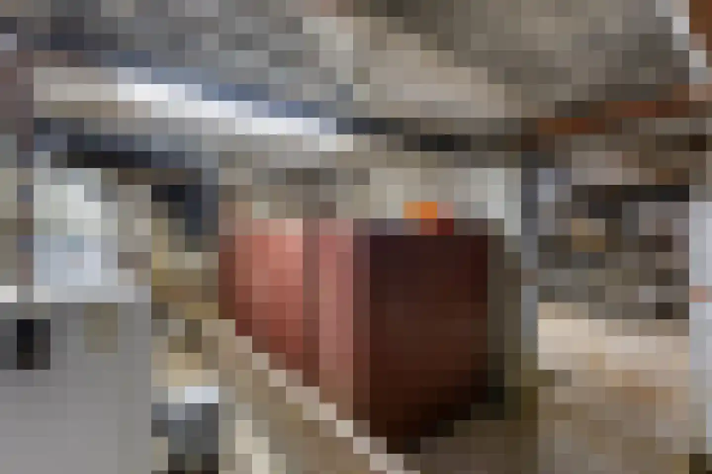 Klein Belgie 6 Vijfhuizen thumbnail 71