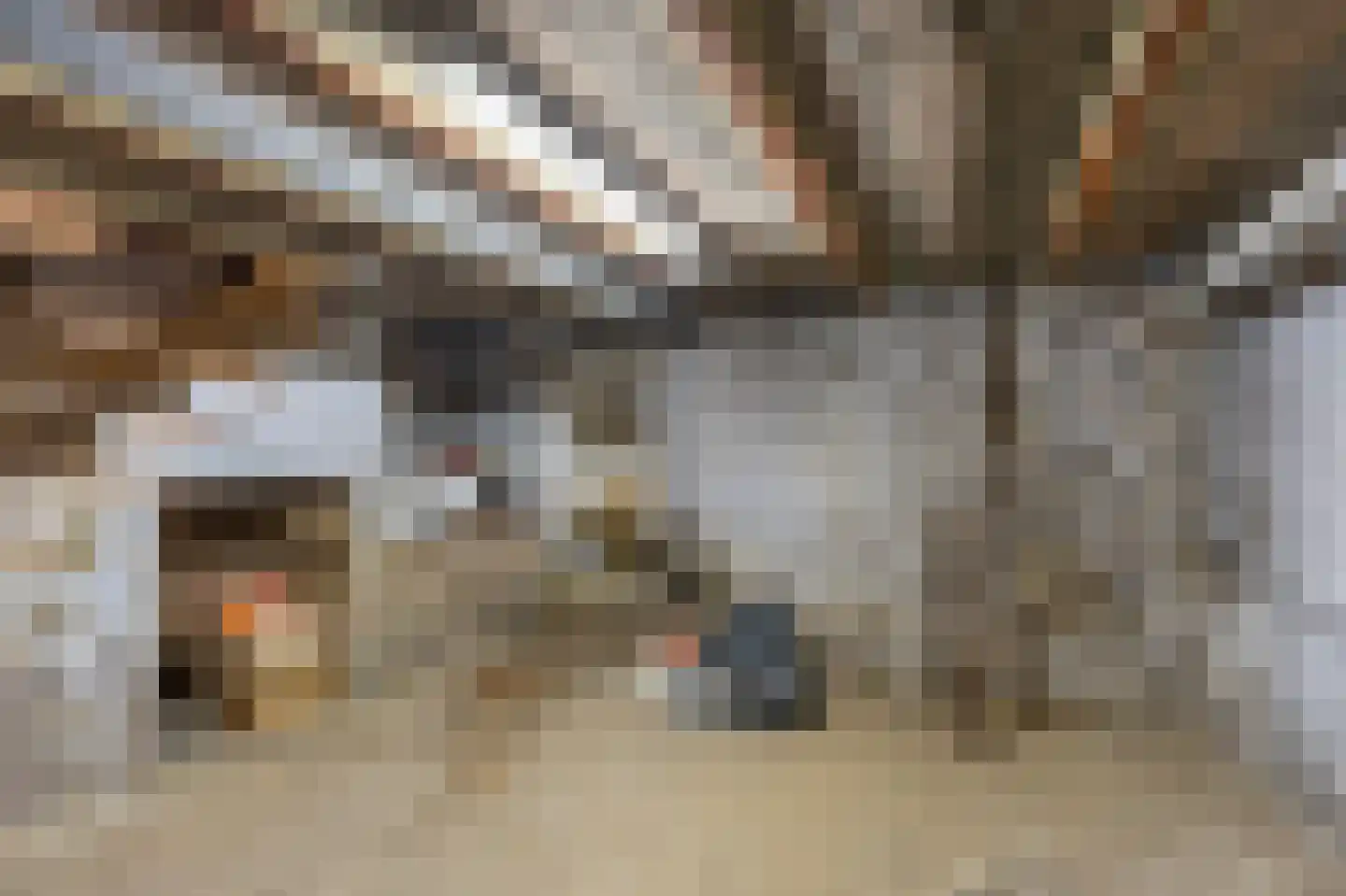 Klein Belgie 6 Vijfhuizen thumbnail 72