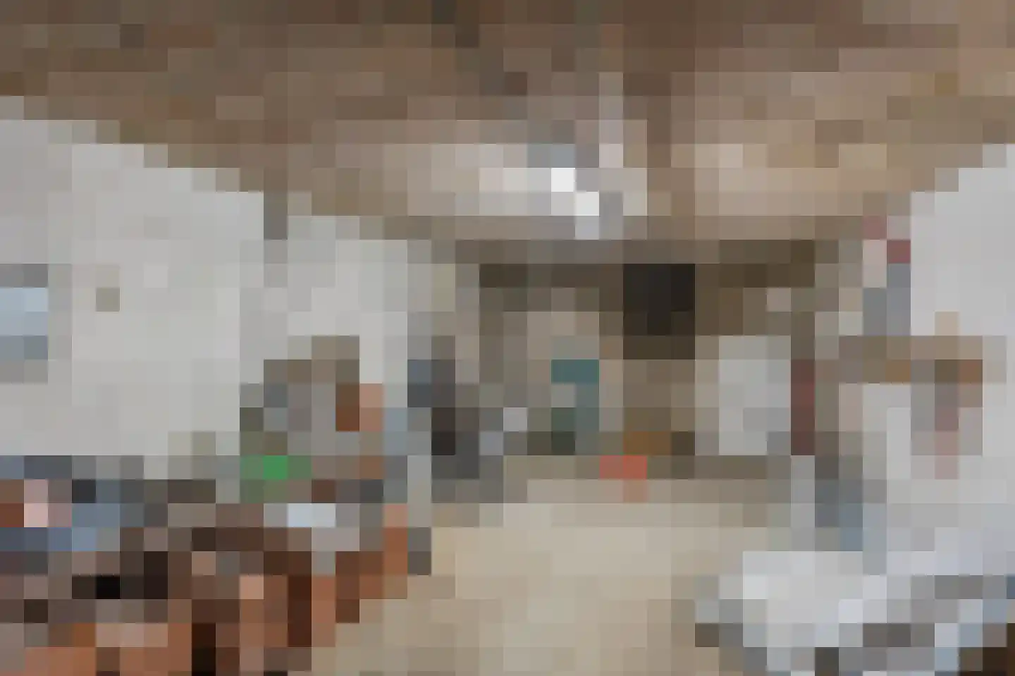 Klein Belgie 6 Vijfhuizen thumbnail 73