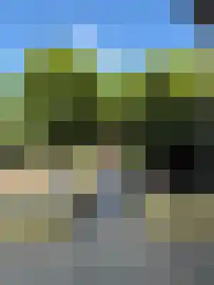 Klein Belgie 63 Vijfhuizen thumbnail 25