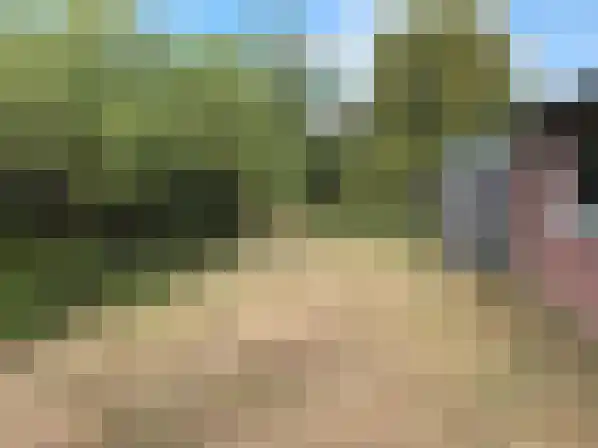Klein Belgie 63 Vijfhuizen thumbnail 32