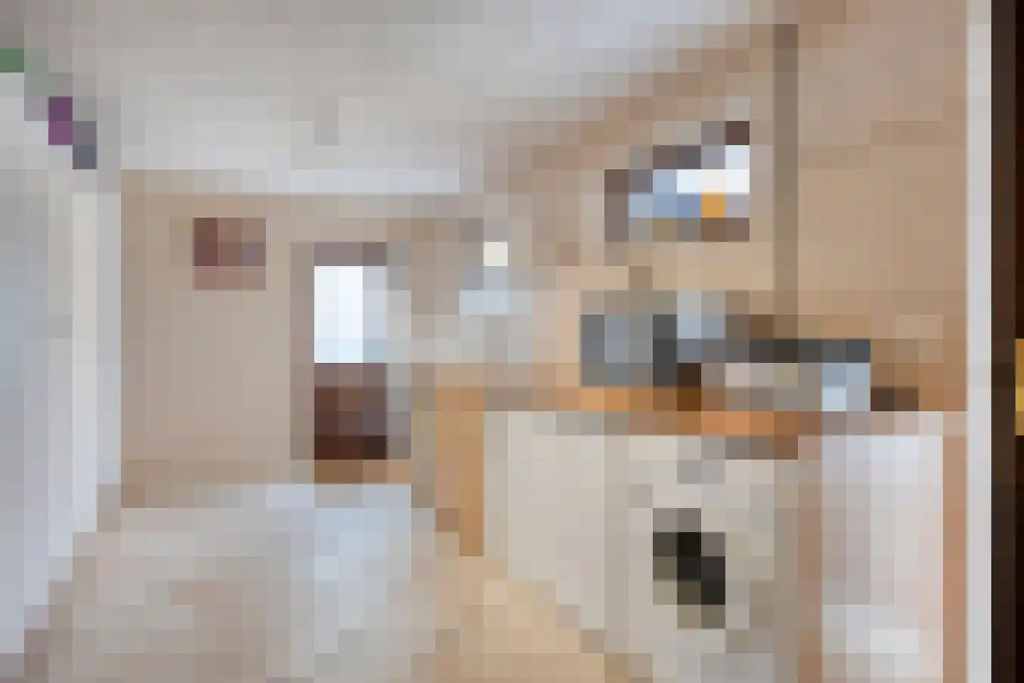 Klein Belgie 64 Vijfhuizen thumbnail 10