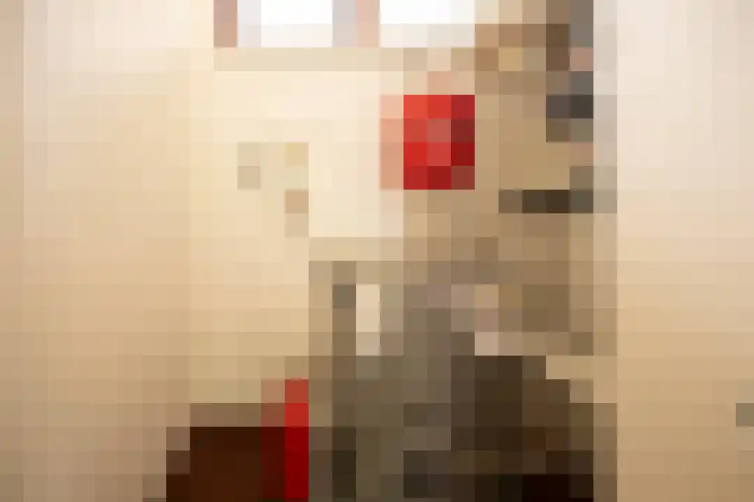 Klein Belgie 64 Vijfhuizen thumbnail 13