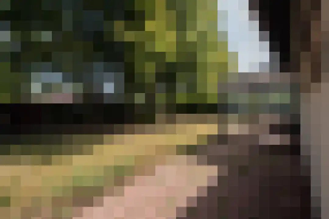 Klein Belgie 64 Vijfhuizen thumbnail 24