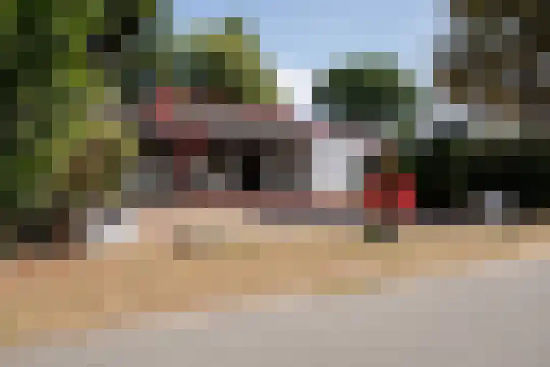 Klein Belgie 64 Vijfhuizen thumbnail 25