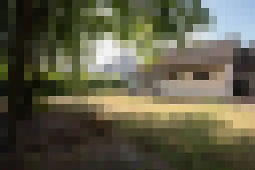 Klein Belgie 64 Vijfhuizen thumbnail 26