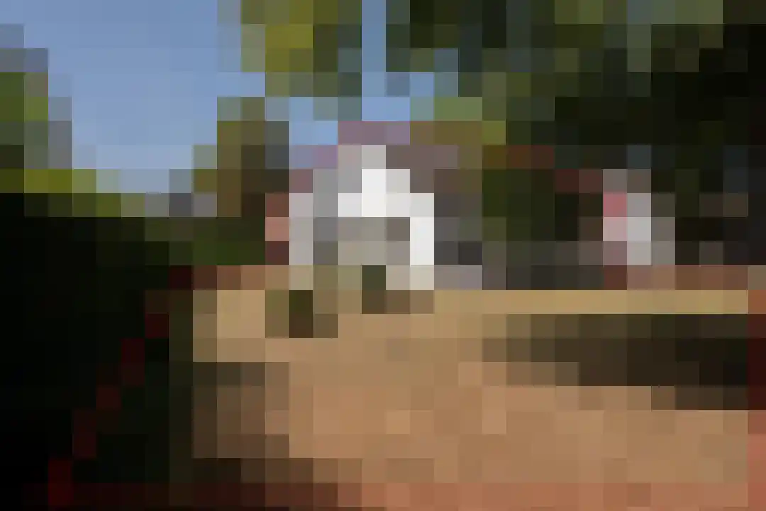 Klein Belgie 64 Vijfhuizen thumbnail 28