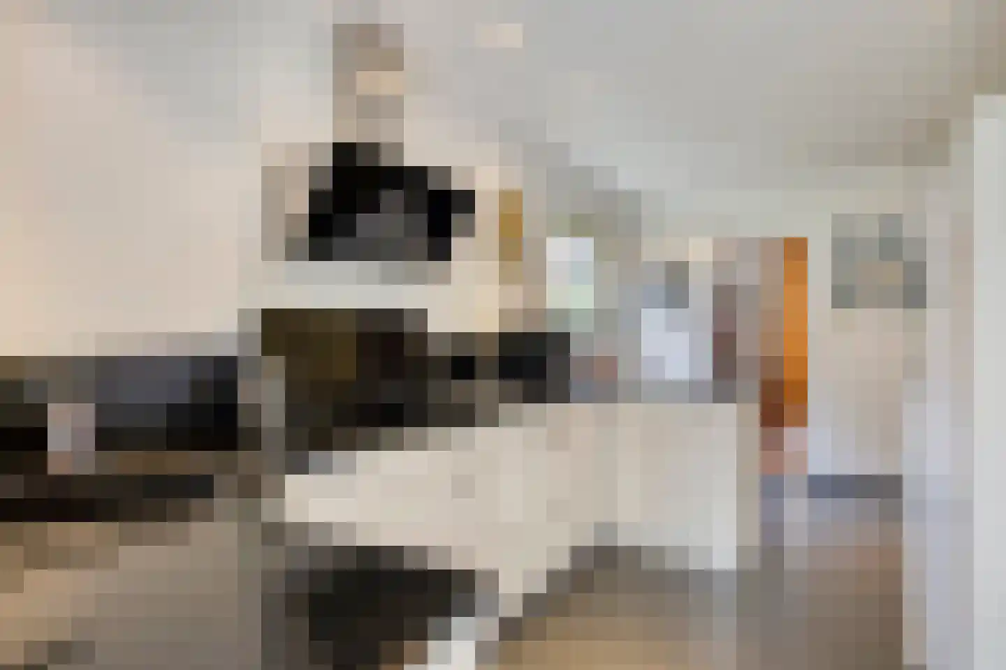 Klein Belgie 64 Vijfhuizen thumbnail 7
