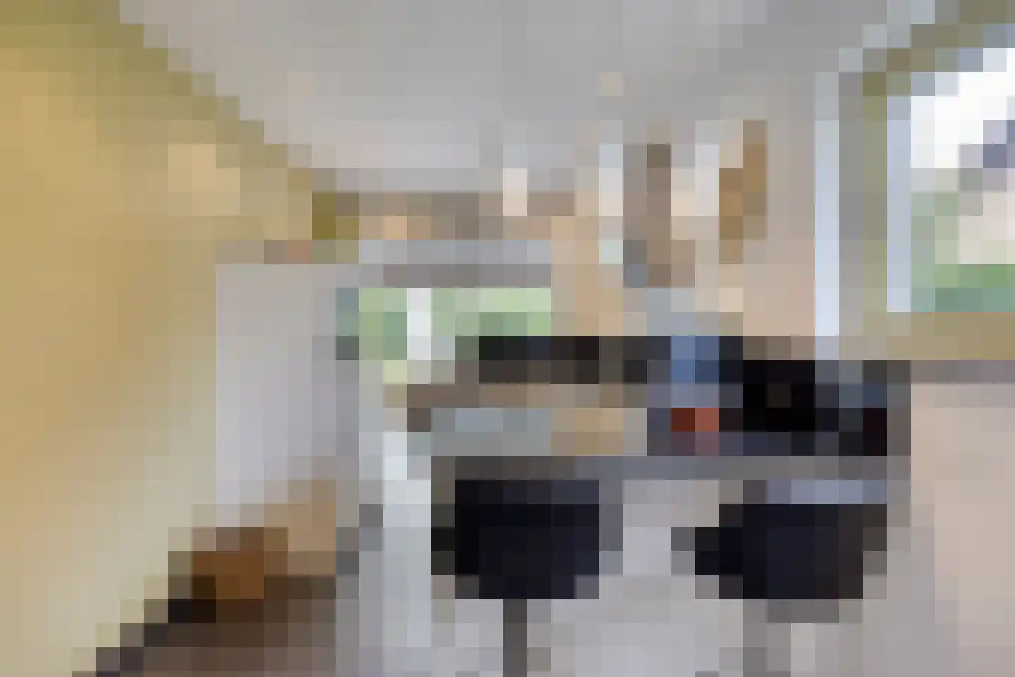 Klein Belgie 64 Vijfhuizen thumbnail 8