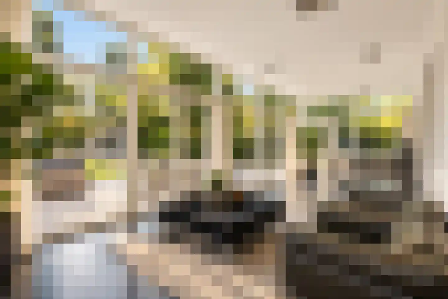 Klein Belgie 65 Vijfhuizen thumbnail 10