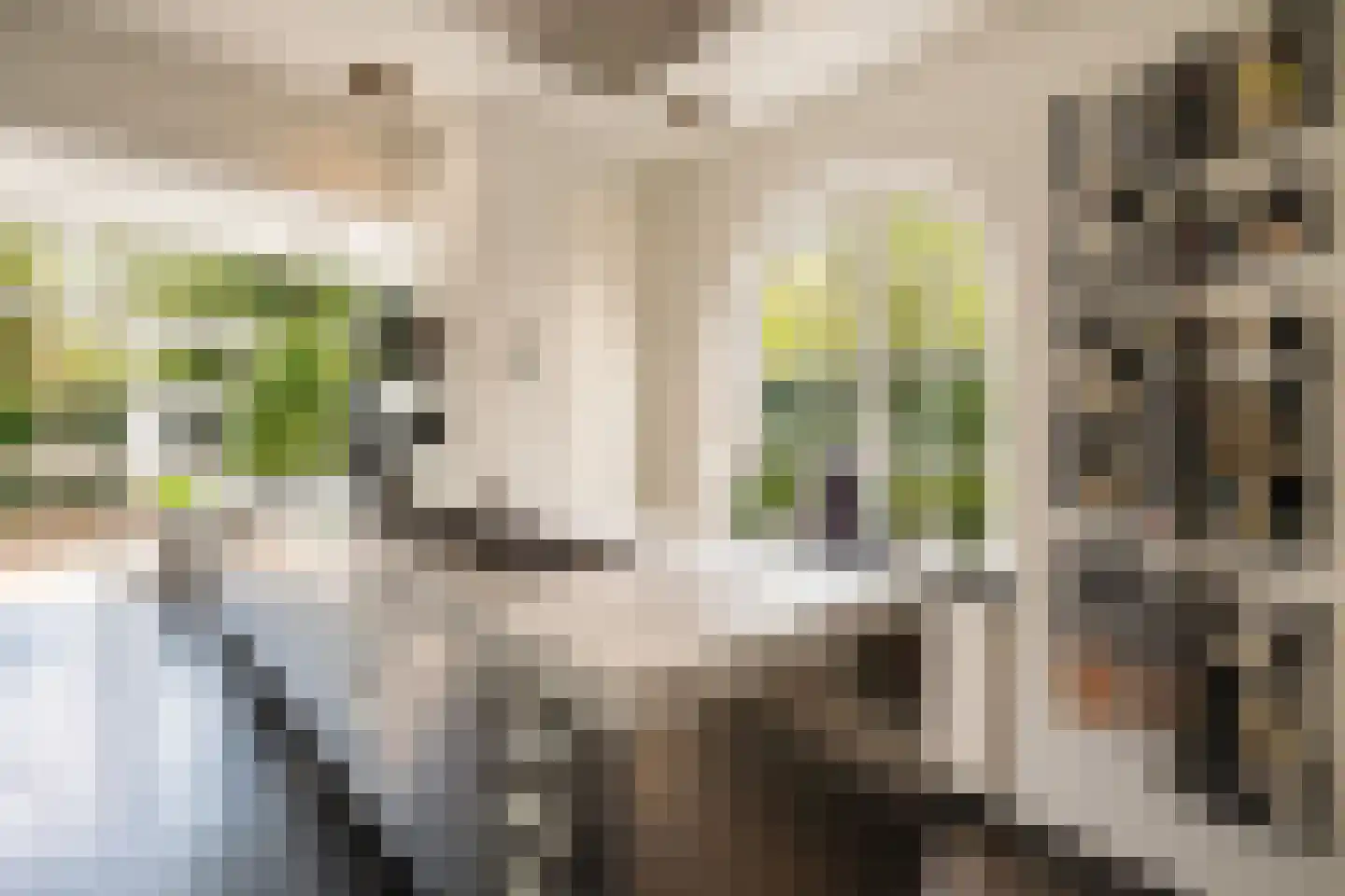 Klein Belgie 65 Vijfhuizen thumbnail 11