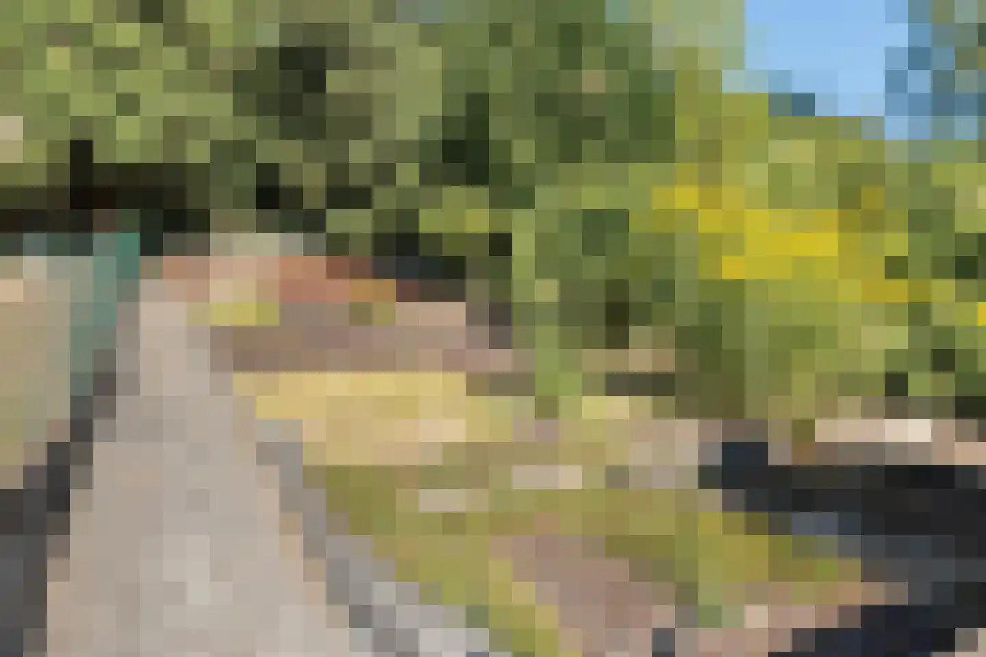 Klein Belgie 65 Vijfhuizen thumbnail 19