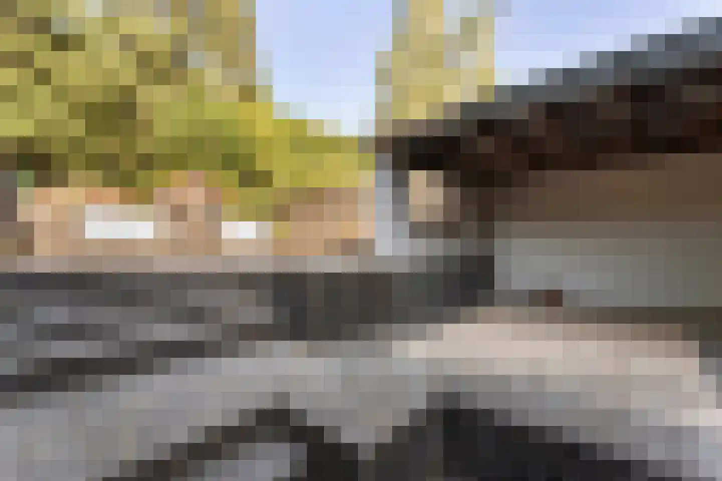 Klein Belgie 65 Vijfhuizen thumbnail 20