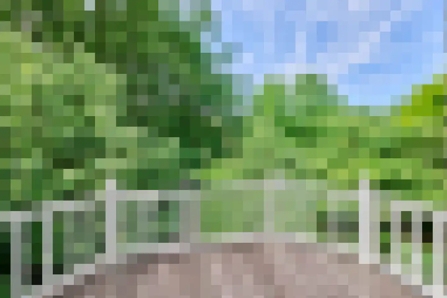 Klein Belgie 65 Vijfhuizen thumbnail 20