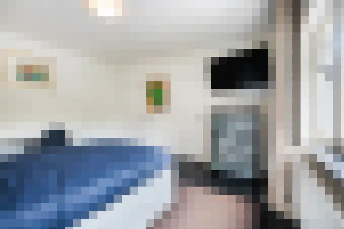 Klein Belgie 65 Vijfhuizen thumbnail 20