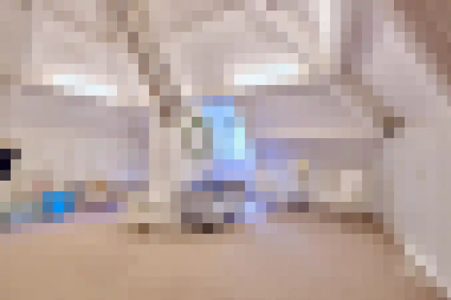Klein Belgie 65 Vijfhuizen thumbnail 26