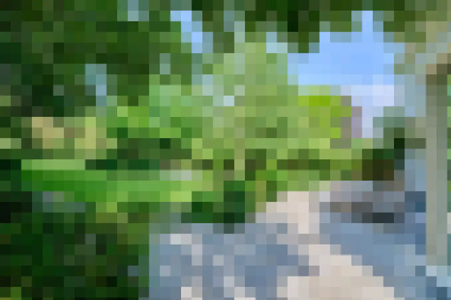 Klein Belgie 65 Vijfhuizen thumbnail 31