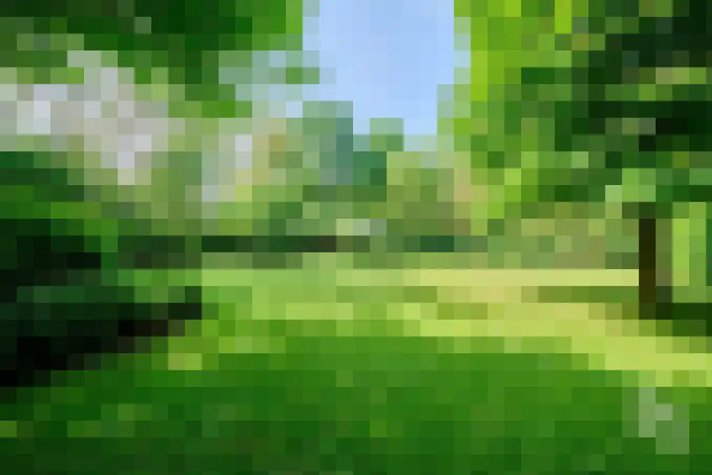 Klein Belgie 65 Vijfhuizen thumbnail 35
