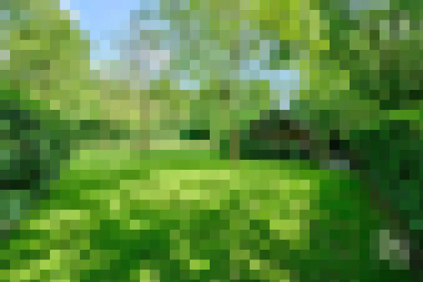 Klein Belgie 65 Vijfhuizen thumbnail 36