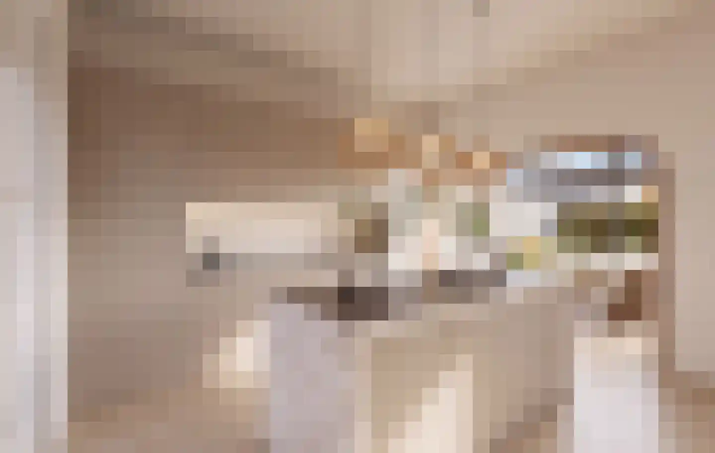 Klein Belgie 65 Vijfhuizen thumbnail 4