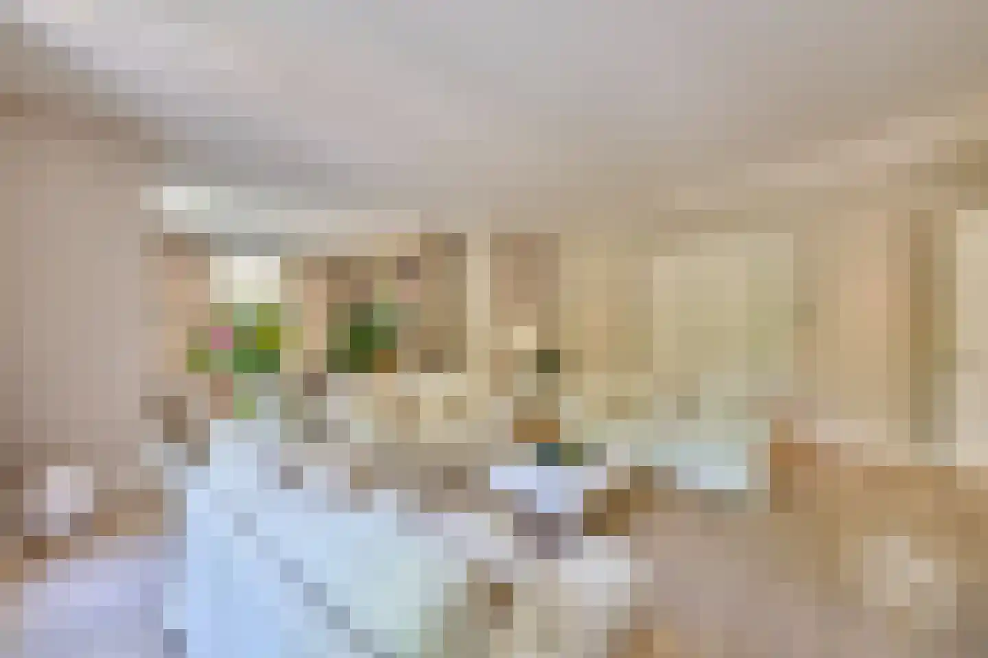 Klein Belgie 65 Vijfhuizen thumbnail 4