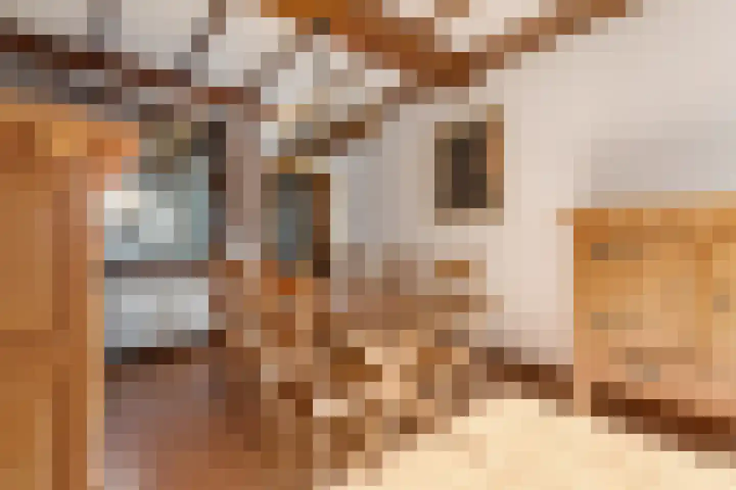 Klein Belgie 65 Vijfhuizen thumbnail 5
