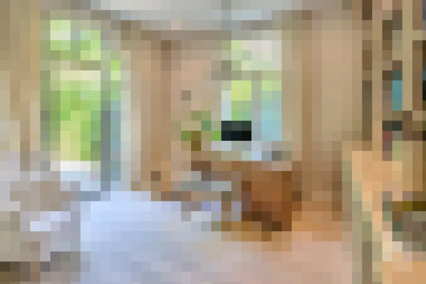 Klein Belgie 65 Vijfhuizen thumbnail 6