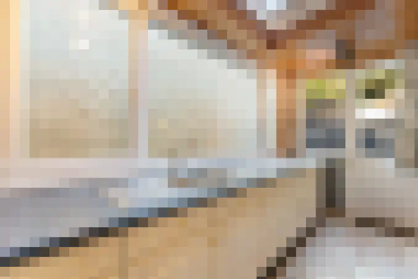 Klein Belgie 65 Vijfhuizen thumbnail 9