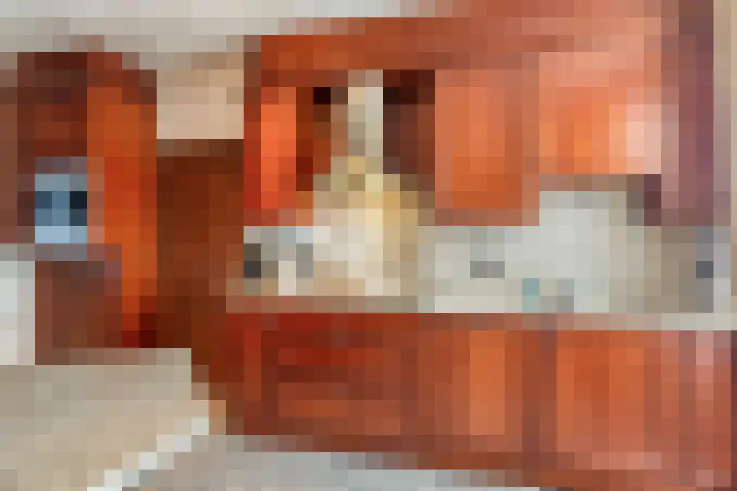 Klein Belgie 66 Vijfhuizen thumbnail 10