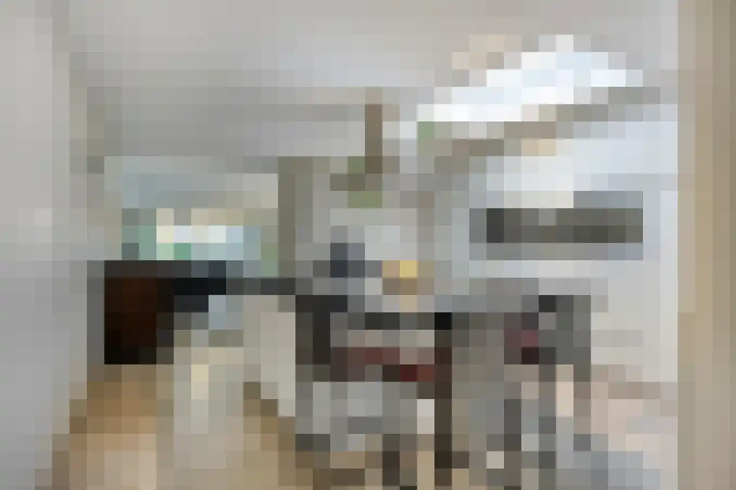 Klein Belgie 66 Vijfhuizen thumbnail 11