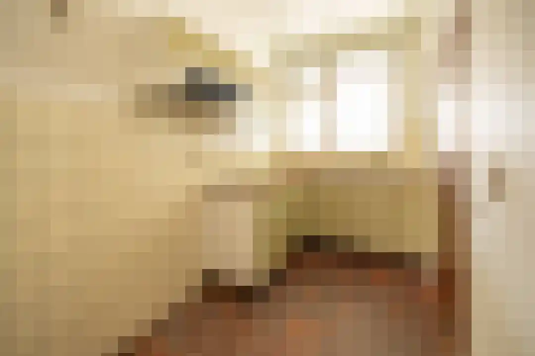 Klein Belgie 66 Vijfhuizen thumbnail 12