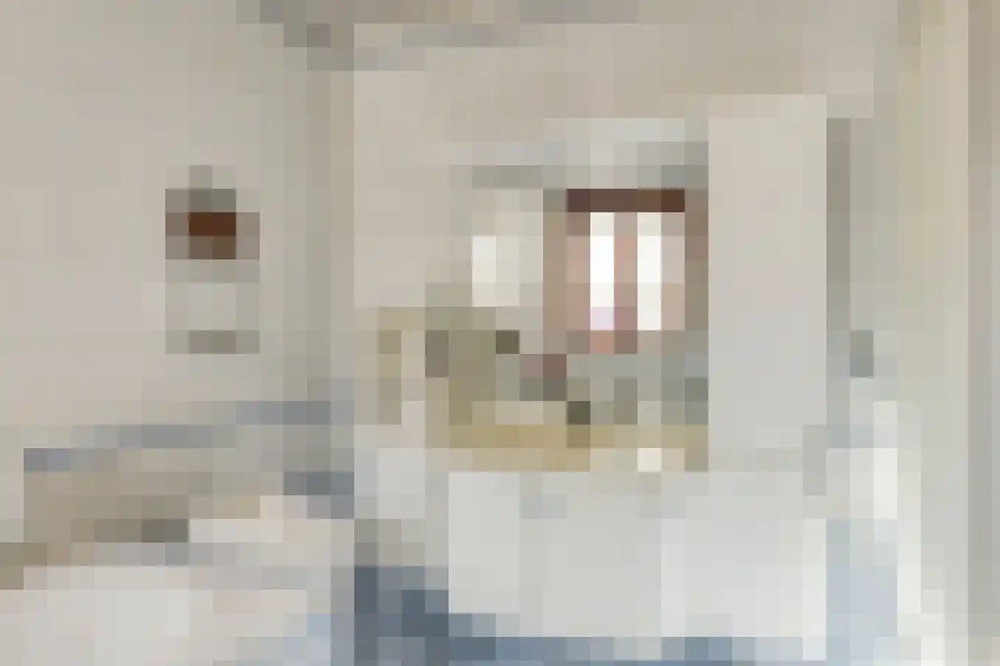 Klein Belgie 66 Vijfhuizen thumbnail 15