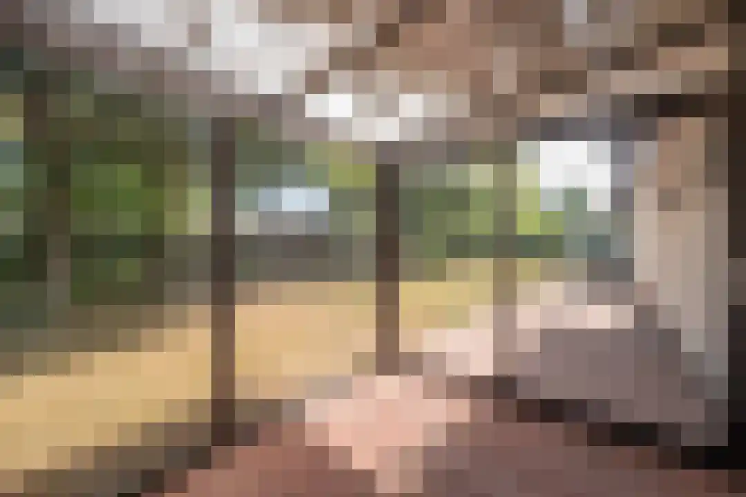 Klein Belgie 66 Vijfhuizen thumbnail 19